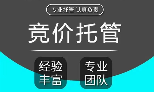 河北竞价托管公司